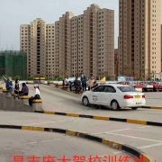 庞大驾校杨春