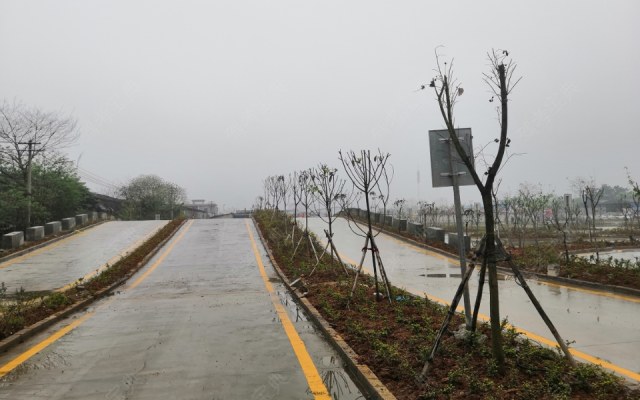 运通驾校许日猛教练|许日猛教练评价怎么样|柳州驾驶员教练【柳州运通