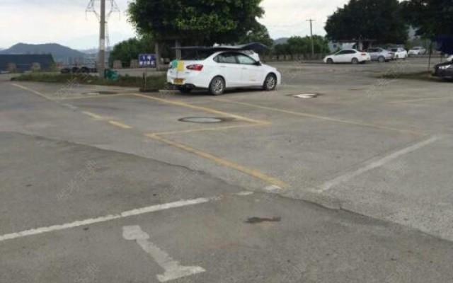 新通驾校陈振翊教练|陈振翊教练评价怎么样