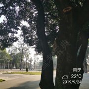 教學環(huán)境