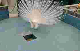 c3108537559f46929c8641f311acacf1.jpg!png280.180