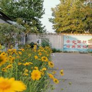 教学环境