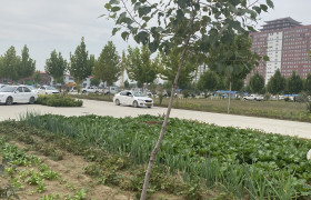 教学环境