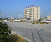 义东驾校