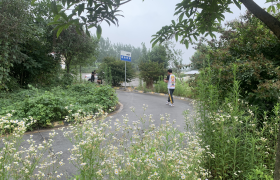 教学环境