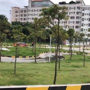 教学环境
