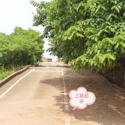 教學(xué)環(huán)境