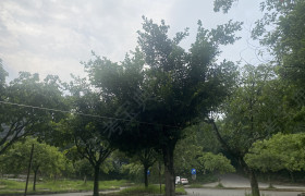 教學(xué)環(huán)境