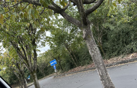 教學(xué)環(huán)境