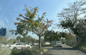教學環(huán)境