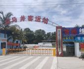 智通驾校
