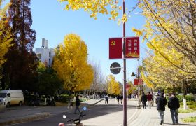 教学环境