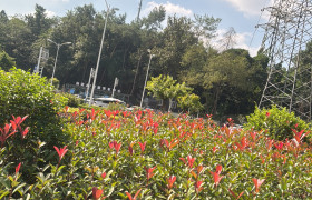 教學(xué)環(huán)境