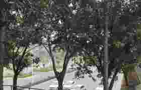 教學(xué)環(huán)境