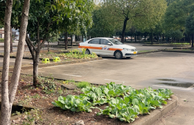 教学环境