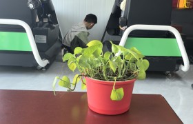 教学环境
