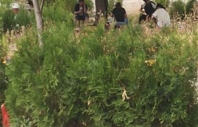 教学环境